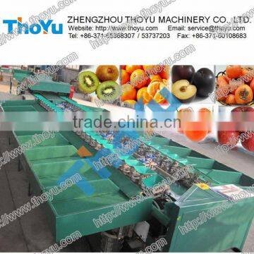 2014 Fruit sorting machine / fruit processing machine in ThoYu