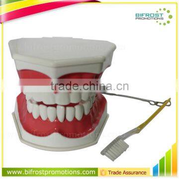 Handmade Plastic Dental Jaws Human Teeth Model