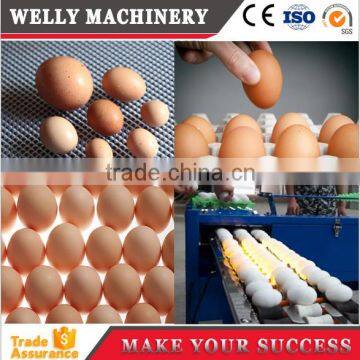 Poultry Farm Machinery Egg Weighing Machine/egg Grading Machine photo-6