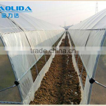 PE Film Greenhouse photo-3