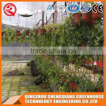 China Direct Multifunction Multi Span Venlo Glass Greenhouse photo-6