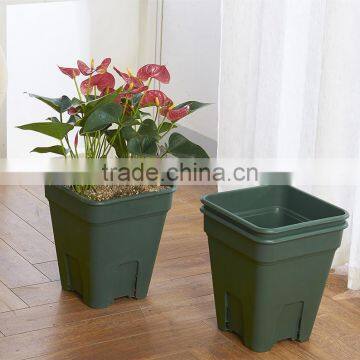 Chinese Rose Flower Pot