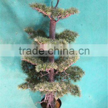 Home Garden Decoration 50cm to 160 cm Hight Small Indoor Canadian Artificial Green Pot Plastic Similar Pine Trees ELSPZ02 0905 photo-3