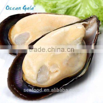 Frozen Precooked Half Shell Blue Mussel photo-3