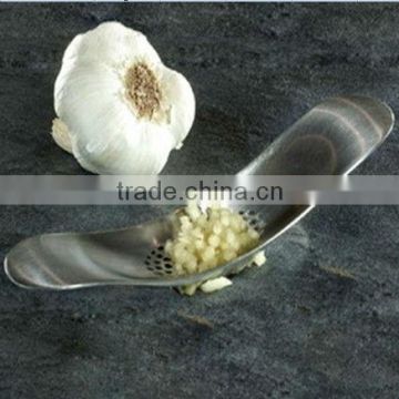 Stainless Steel Garlic Rocker