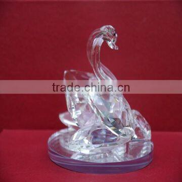 Best Selling Products for Clear Swan photo-4