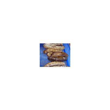 dried sea cucumber (black sand fish for sale)