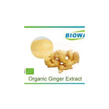 Organic Ginger Extract Powder