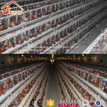 4 Tier Chicken Layer Cages Automatic Poultry Cages Galvanized Wire Mesh Battery Broiler Cage Price for Uganda Philippine photo-4