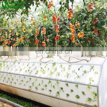 Agricultural Greenhouse Wall Hydroponic Growing Systems