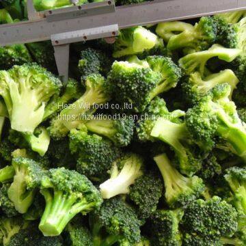 Frozen Broccoli