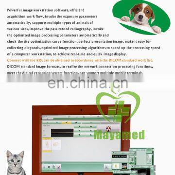 New Arrival Medical Veterinary X-ray Equipment/x-ray Machine,vet Digital x Ray Scanner Price for Sale photo-5