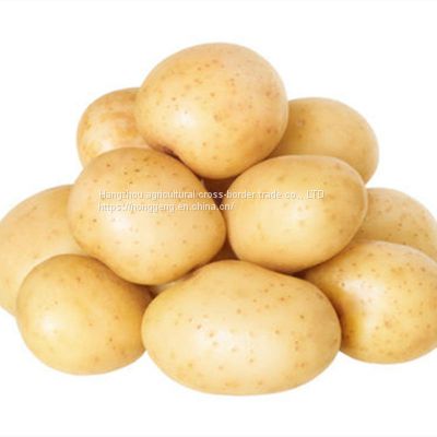 Fresh potatoes