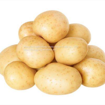 Fresh Potatoes