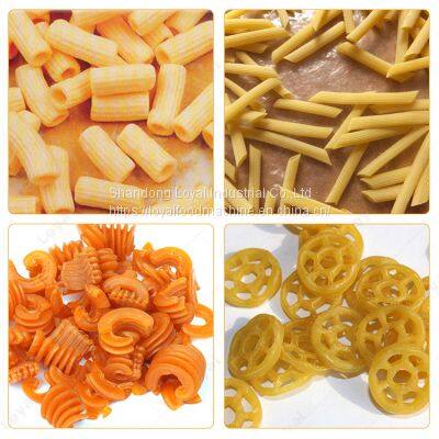 Top Quality Stainless Steel Automatic Deep Chips Frying Machine Industrial Continuous Frying Equipment for Sale photo-4