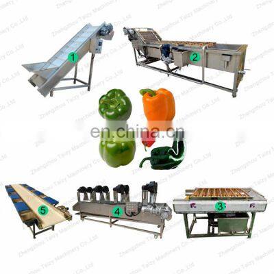 Automatic Vegetable Cleaning Machine Disinfection Fruit Apple Avocado Lemongrass Washing Machine