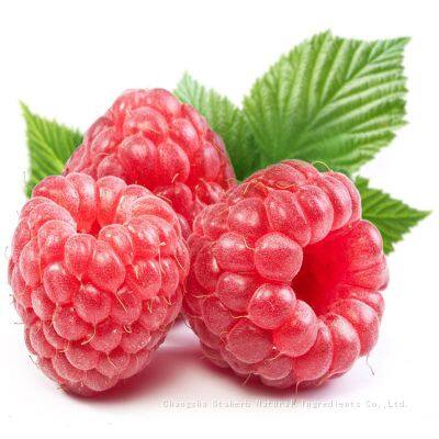 100% Natural Raspberry Extract, Raspberry Ketone 99% for Weight Loss Cas Number 5471-51-2 photo-5