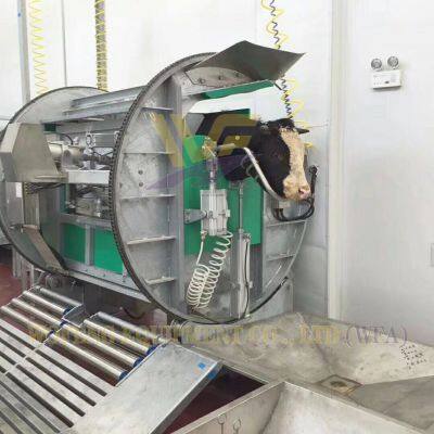 High Efficiency Automatic Halal Cattle Slaughtering Equipment Slaughtering Box Cattle Slaughter Production Line photo-5