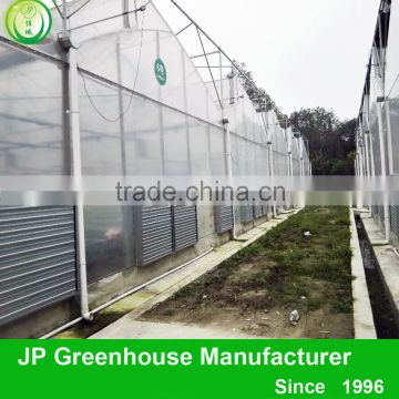 galvanized multi-span top ventilation roof greenhouse