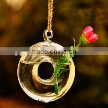 Artistic Minimalist Style Glass Vase, Home Decoration, Garden Ornament