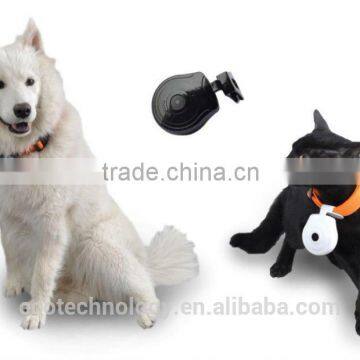 Pet Camera Can Display Tel No.