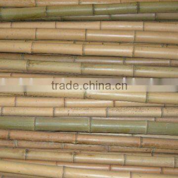 Bamboo pole Sun-005