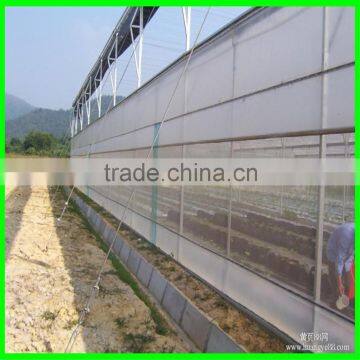 Large Size and Multi-Span Agricultural Greenhouses Type Green House Anti Insect Netting photo-2