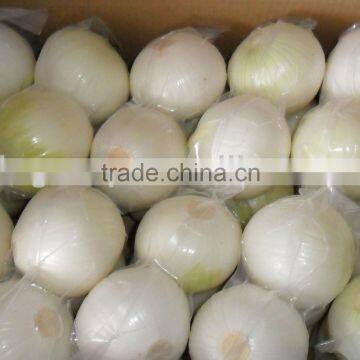 2013 New Chinese Onion for Sales