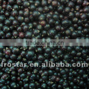 2013 fresh frozen black currant