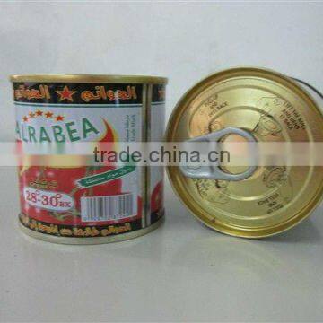 Safe And Clean 198g tomato catsup of brix 28-30% Popular products in Africa