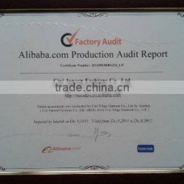 Factory Audit