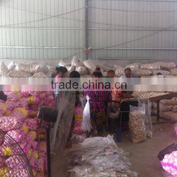 China Red Garlic Price Store Garlic photo-3