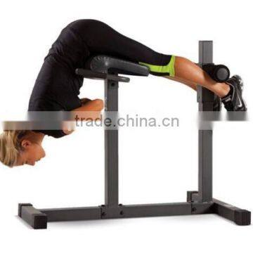 Roman Chair Hyperextension Bench Abdominal Back Exerciser Workout Fit