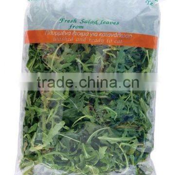 washed and ready to eat salad fresh vegetable Packaging Bag                        
                                                Quality Choice