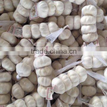 2015 China Garlic Price photo-4