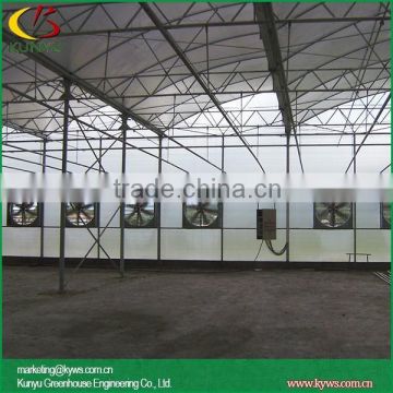 Sawtooth type greenhouse plastic roll prefab greenhouses