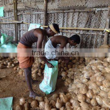 Fresh Coconuts photo-3