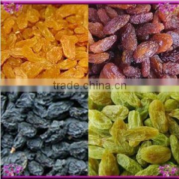 Xinjiang Dry Black Grape/ Sultana Raisins