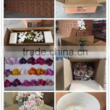 Artificial Coated Phalaenopsis Orchids Bonsai