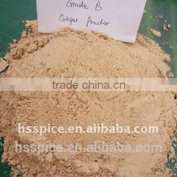 Organic Dry Ginger Powder