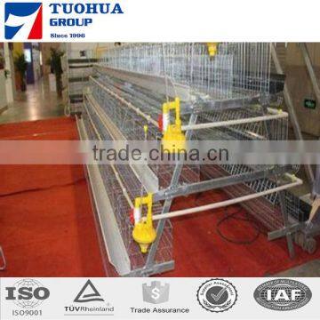 A type chicken laying cage,cages for chickens