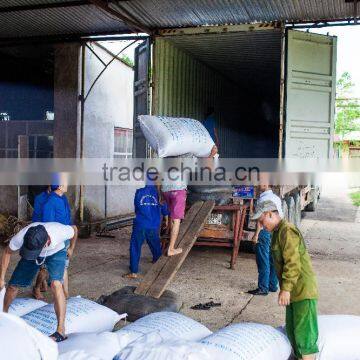 Pure Flavor and High Quality Green Tea SP photo-4