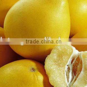 Customers buy sour fresh honey pomelo from China