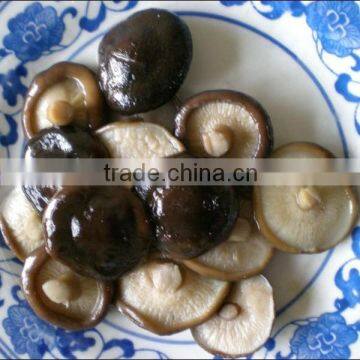 new crop canned shiitake mushroom