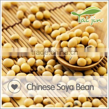 Manufacturer and Supplier of Organic Soy bean