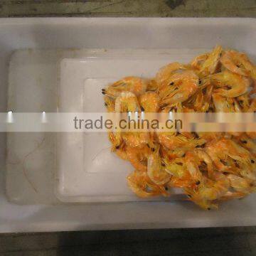 China Dry Prawn hot sale