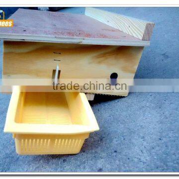 Wooden Pollen Trap photo-2