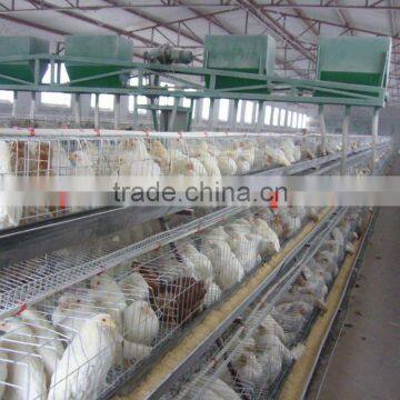 high quality chicken egg layer cages