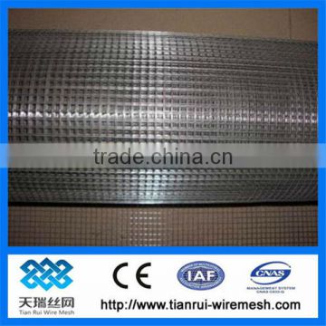 welded wire mesh rolls/galvanized welded wire mesh 2x2