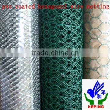 High Quality PVC Coated Hexagonal Wire mesh